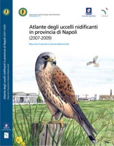 68a3eef4ead8fc4caac623212a8d9a10