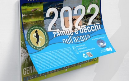 Calendario ASOIM 2022