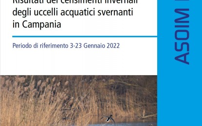Risultati dei censimenti invernali degli uccelli acquatici svernanti in Campania – 3-23 gennaio 2022