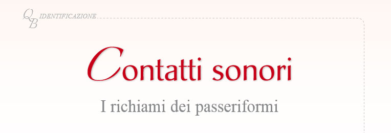 Contatti_sonori