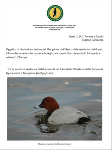 richiesta_esclusione_del_Moriglione_dal_calendario_venatorio_campano_1