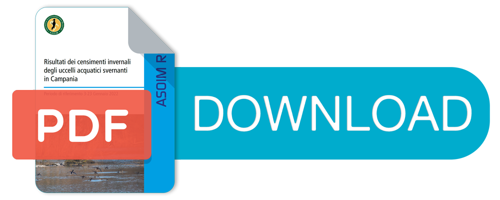 Download PDF