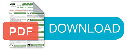 Download PDF