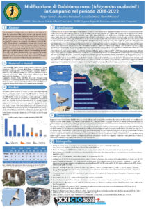 Poster_Gabbiano_corso_70x100